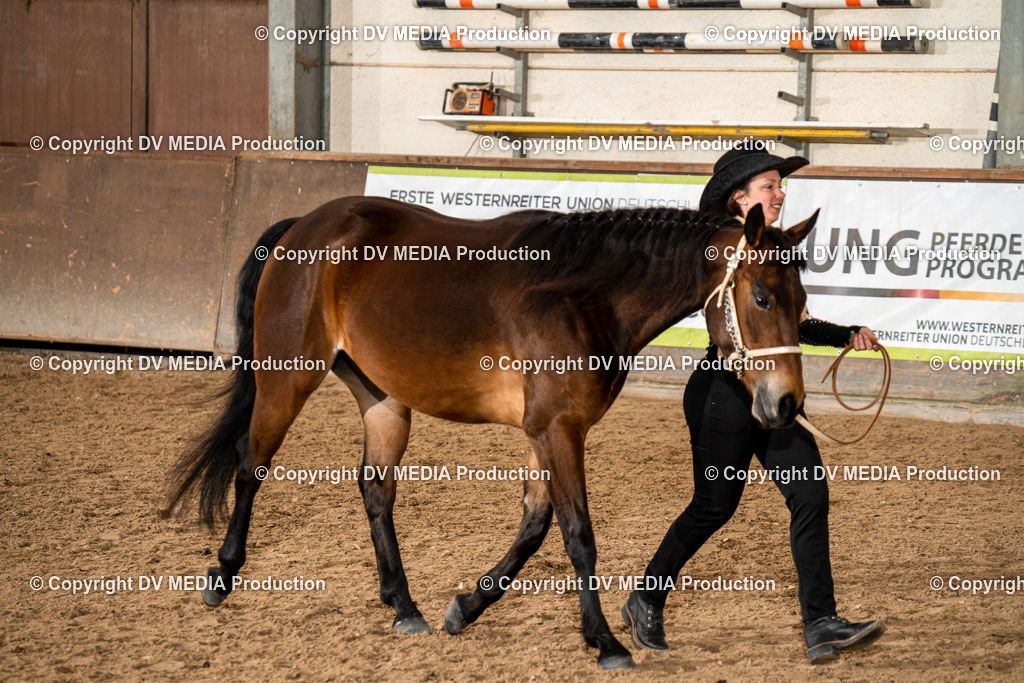 Heiligenwald Tag 1-134 | dv-media-shop - Realisiert mit Pictrs.com