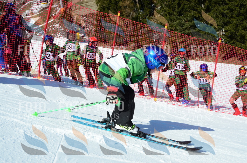 C5338 | holidayphoto