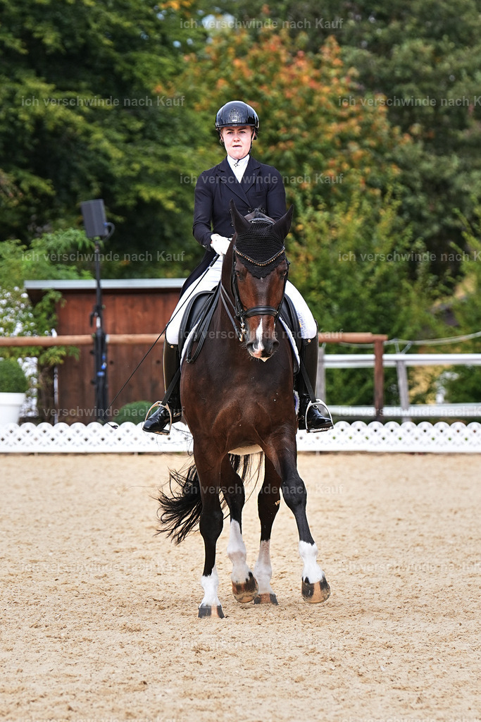 11-091-Dressur S___-Marixx-1626 | working equitationturnier fotograf videograf stoibphotography marixx film working equitation deutschland reitsport turnierfotografie eventfotografie equestrian events