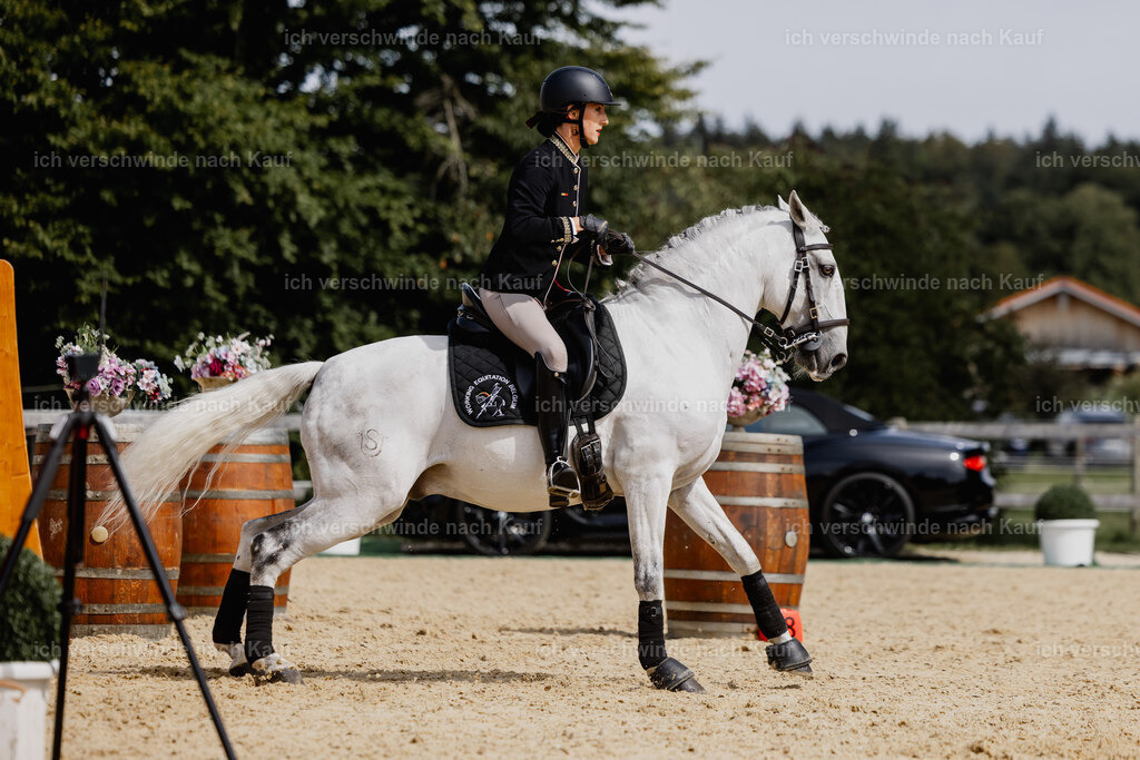 Virginie12FHC2025-20073 | working equitationturnier fotograf videograf stoibphotography marixx film working equitation deutschland reitsport turnierfotografie eventfotografie equestrian events