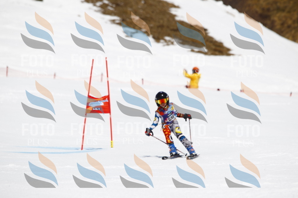 _U3G6212 | holidayphoto