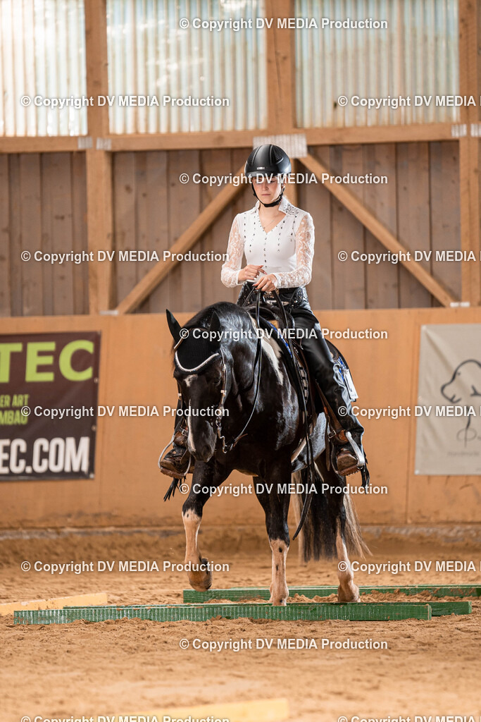 Losheim Tag 2-67 | dv-media-shop - Realisiert mit Pictrs.com