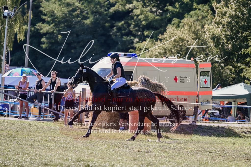 DSC_3579 | Pferde- und Turnierfotografie in Westsachsen. Pferdeportraits, Auftragszeichnungen und intuitive Kunst.