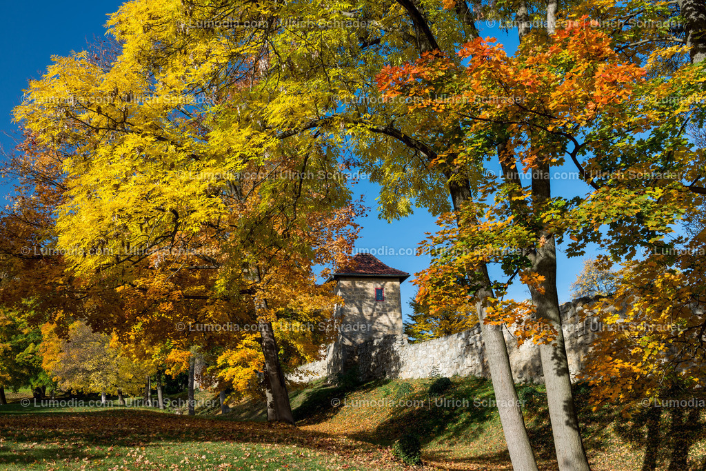 100494-3930 - Barockgarten Blankenburg | max. Bildgröße A2 | 300dpi - Realisiert mit Pictrs.com