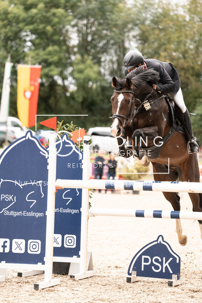 DSC04297 | Carolin Gieschke