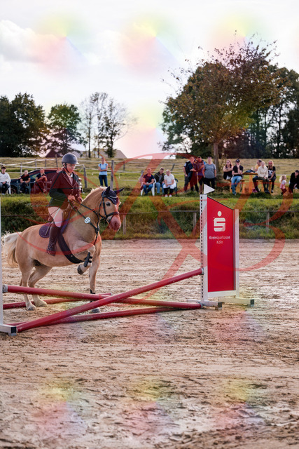 2026_10_03_Siefer-Hof_145246_Z81_31765253 | Professionelle Reitsport-, Turnier- und Eventfotografie von Robert Broda. Galerien mit ausgewählten und bearbeiteten Bildern direkt online ansehen und bestellen.