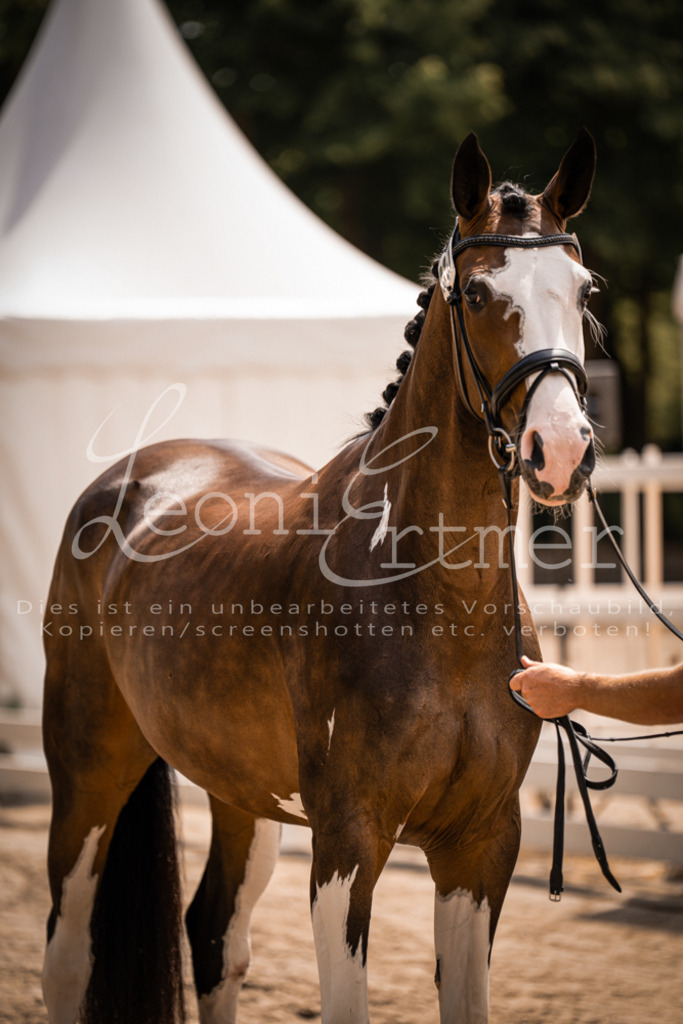 2. Fr00189 | Leoni Ertmer Photography - Realisiert mit Pictrs.com