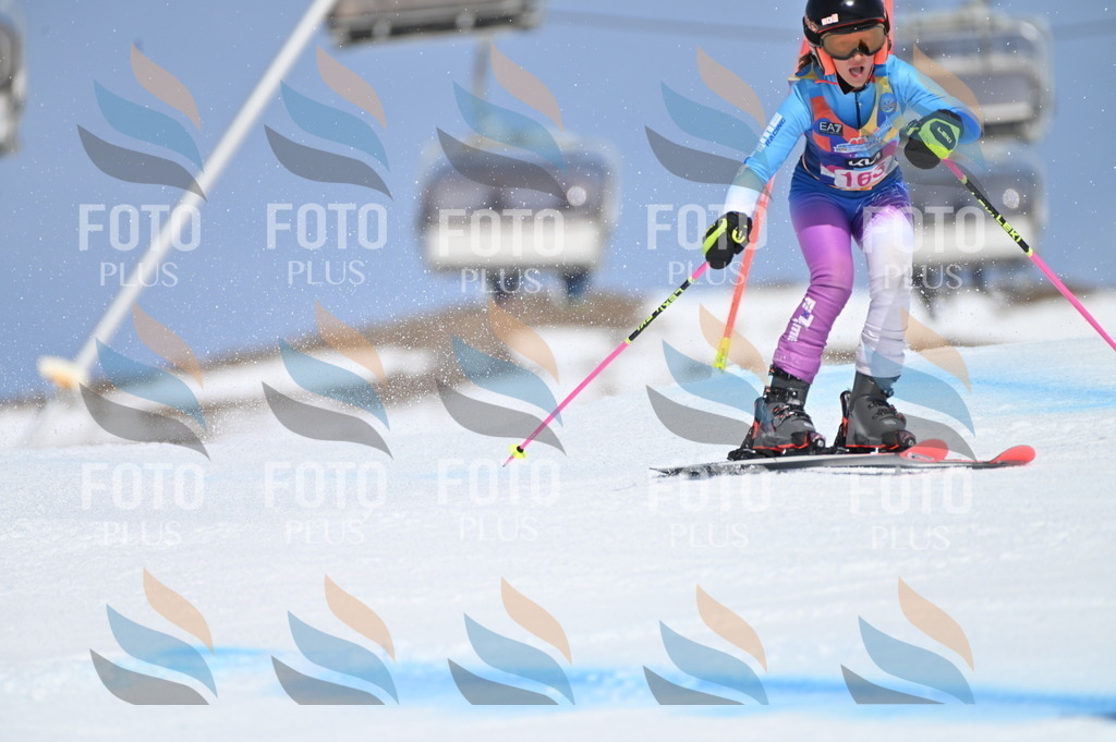 BGV_0313 | holidayphoto