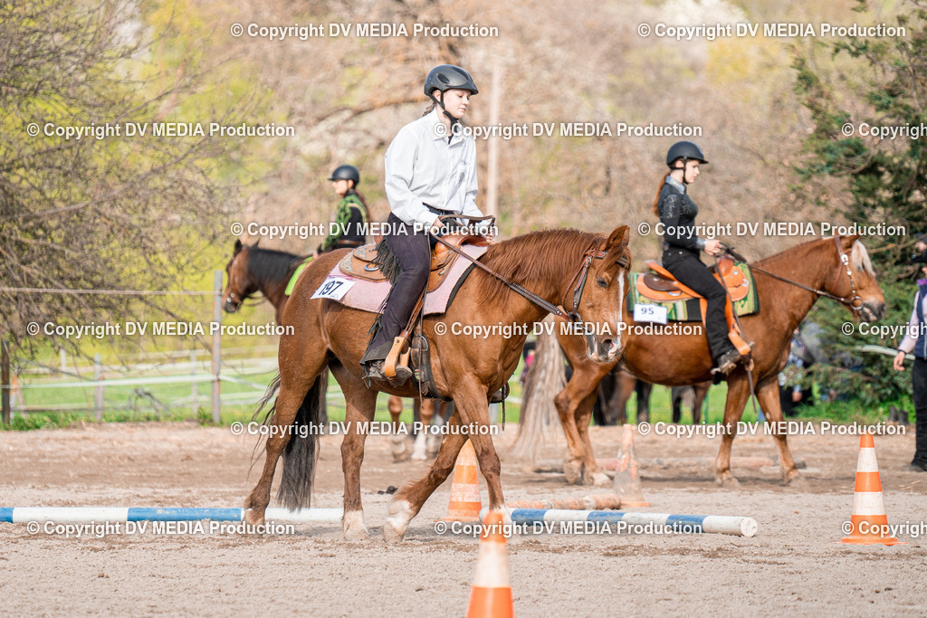 BAL02855 | dv-media-shop - Realisiert mit Pictrs.com