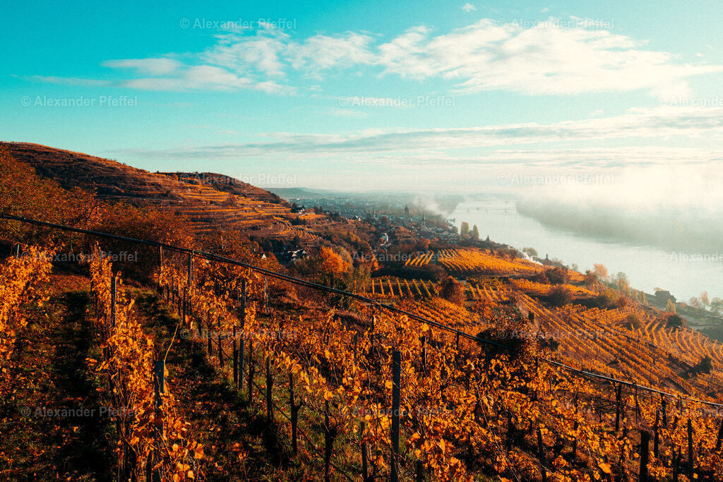 foto_c_pfeffel-partner-0100-R52_0345 | alexander-pfeffel - Realisiert mit Pictrs.com