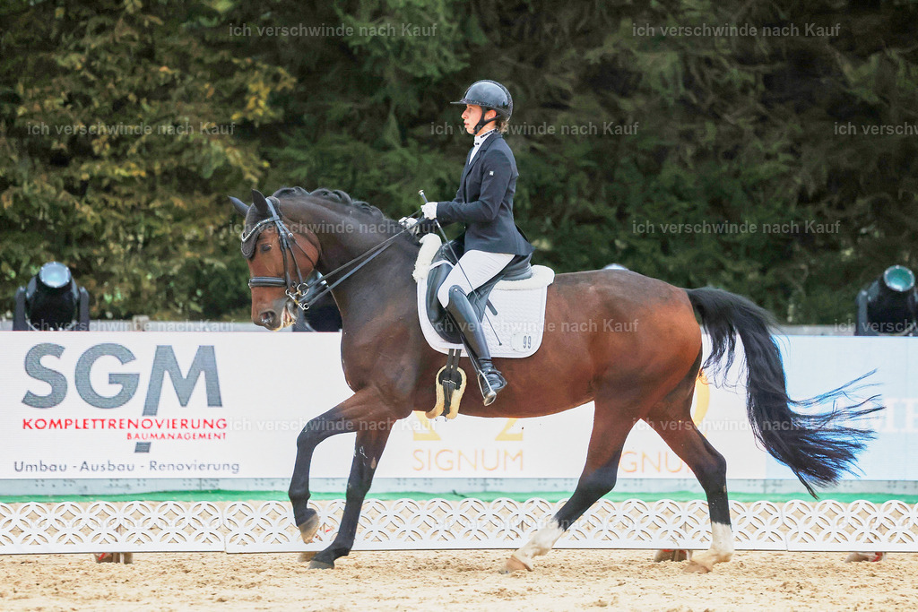 04_2-099-Dressur M__ -StoibPH-3002 | working equitationturnier fotograf videograf stoibphotography marixx film working equitation deutschland reitsport turnierfotografie eventfotografie equestrian events