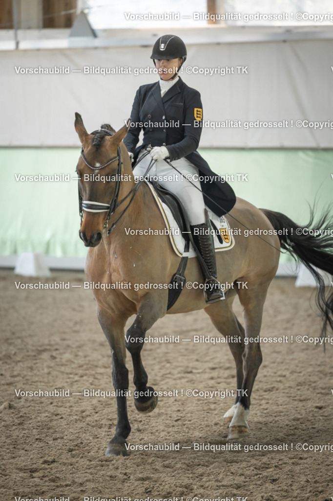 _D5A2312 | Emotionale Pferde- & People-Fotografie rund um Heidelberg, Leimen & Umgebung. Natürliche Fotos von Pferd, Mensch & Familie. Jetzt Termin sichern!