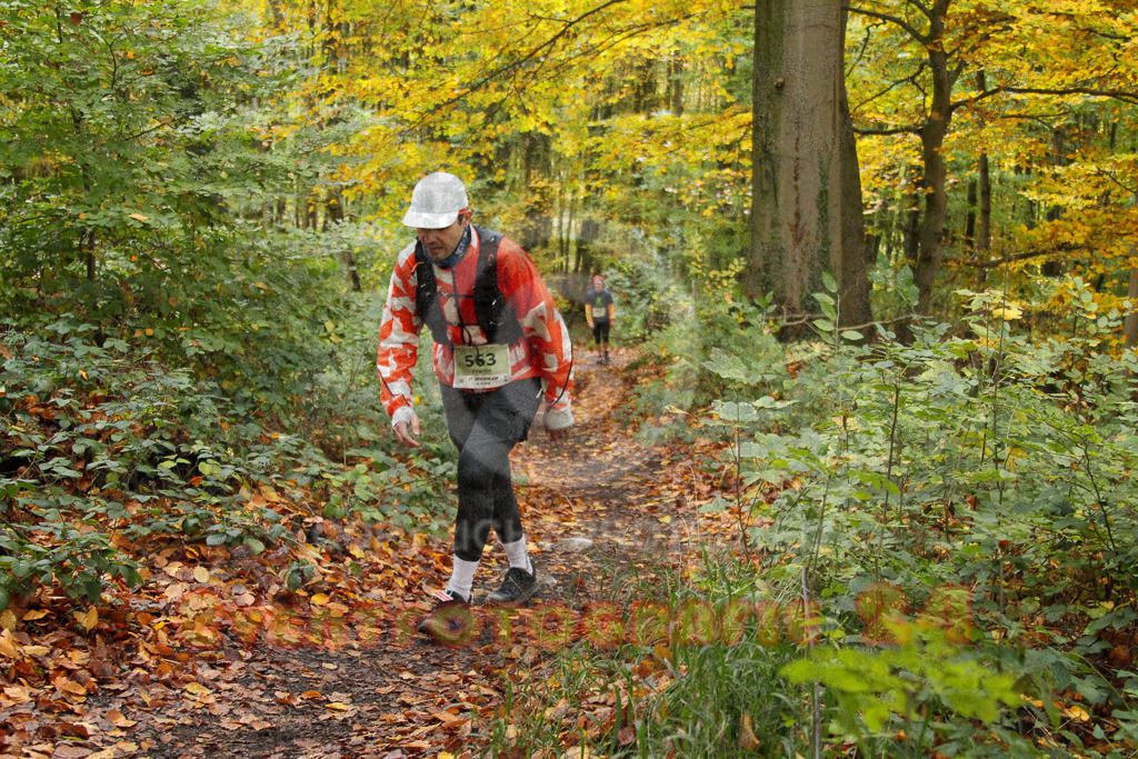 251026_1253_EV4_6044 | Sportfotografie im Rhein-Sieg Kreis, Köln, Bonn, NRW, Rheinland Pfalz, Hessen, etc. Unser Tätigkeitsfeld umfasst den Laufsport vom Volkslauf über den Marathon, Duathlon, Triathon bis zum Ultralauf wie Kölnpfad Ultra oder Schindertrail.