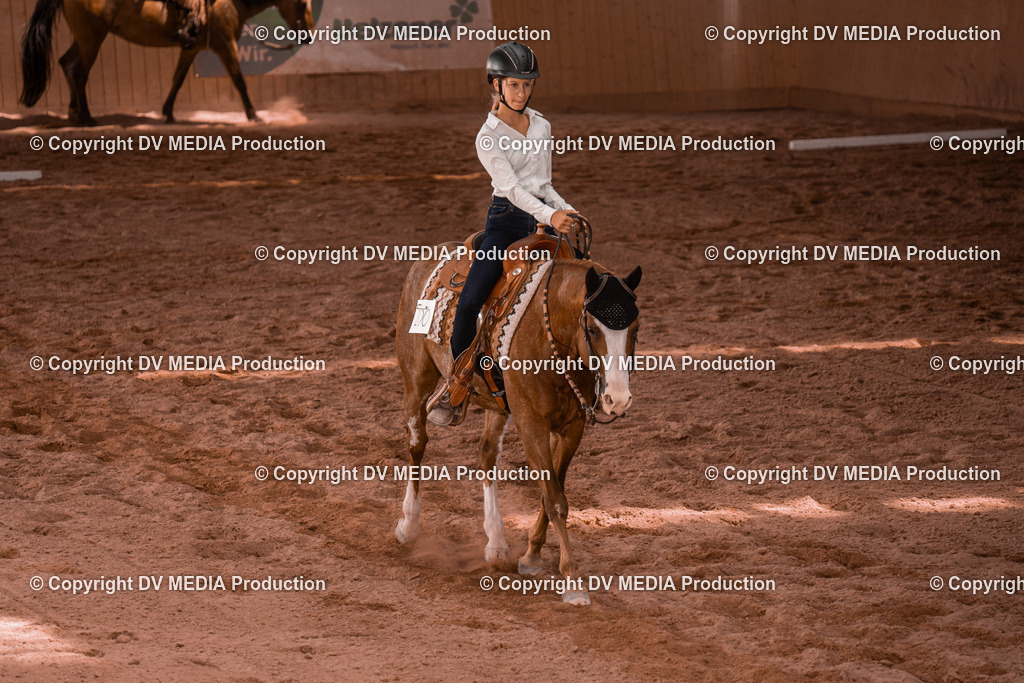 NE300381 | dv-media-shop - Realisiert mit Pictrs.com