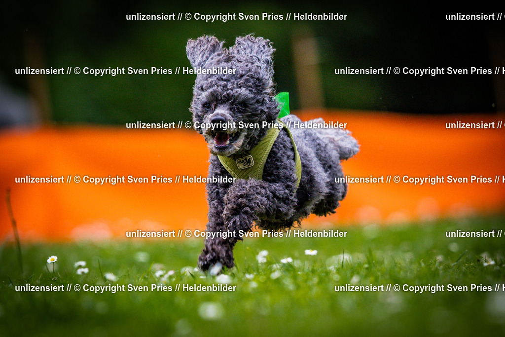 Sven Pries | 2025-05-29 - Pudelrennen KA-Durlach - Realisiert mit Pictrs.com