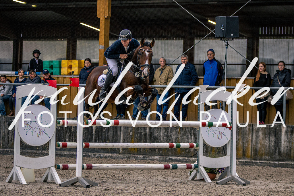 IMG_6171 | Erleben Sie dynamische Sport- und emotionale Tierfotografie in Süddeutschland mit Fotos von Paula. Spezialisiert auf Pferde- und Hundefotografie sowie Sportevents. Kontaktieren Sie mich für einzigartige und ausdrucksstarke Bilder Ihrer besonderen Momente.