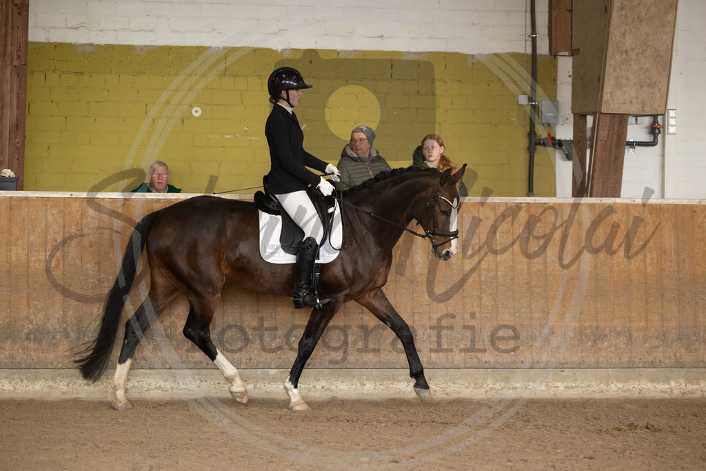 994A8764 | sabrinanicolaifotografie - Realisiert mit Pictrs.com