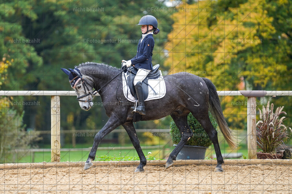 20221008-FAH01471 | Diessen am Ammersee, 2022, Dressur- und Springturnier, Reitsportbilder, Turnierfotografen Bayern, Pferdefotografen, Fotoagentur Herrmann, Turnierbilder