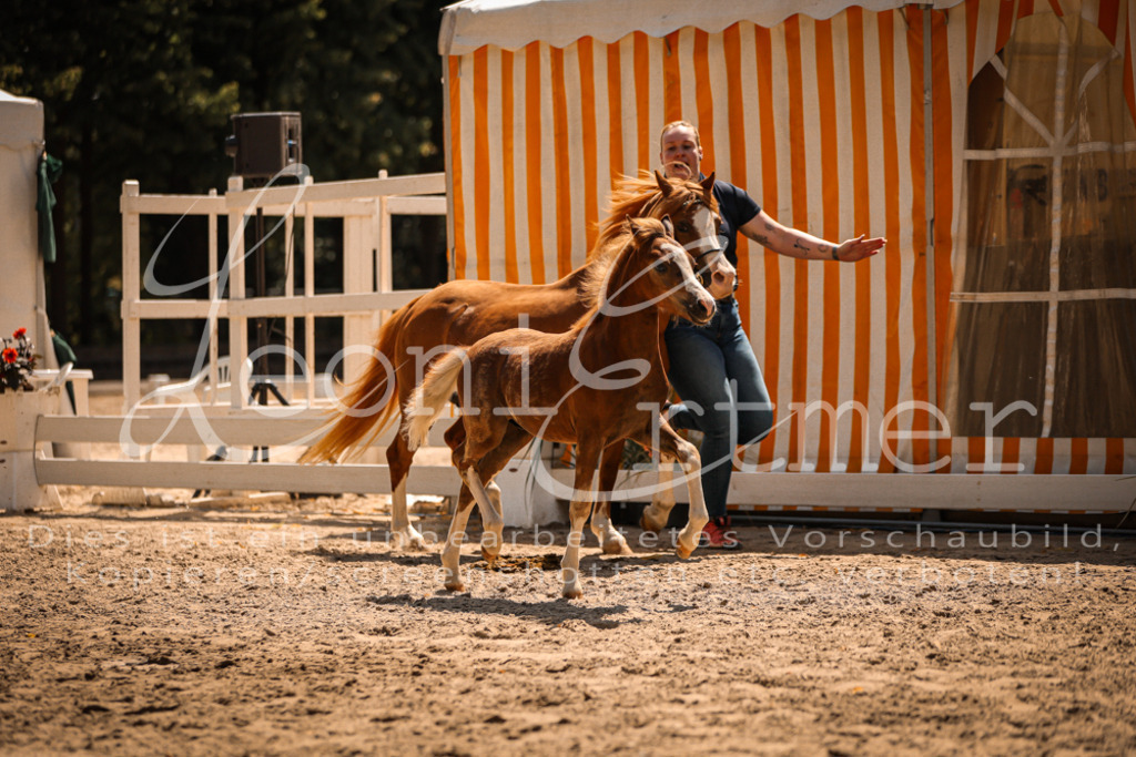 04.DoWP00015 | Leoni Ertmer Photography - Realisiert mit Pictrs.com