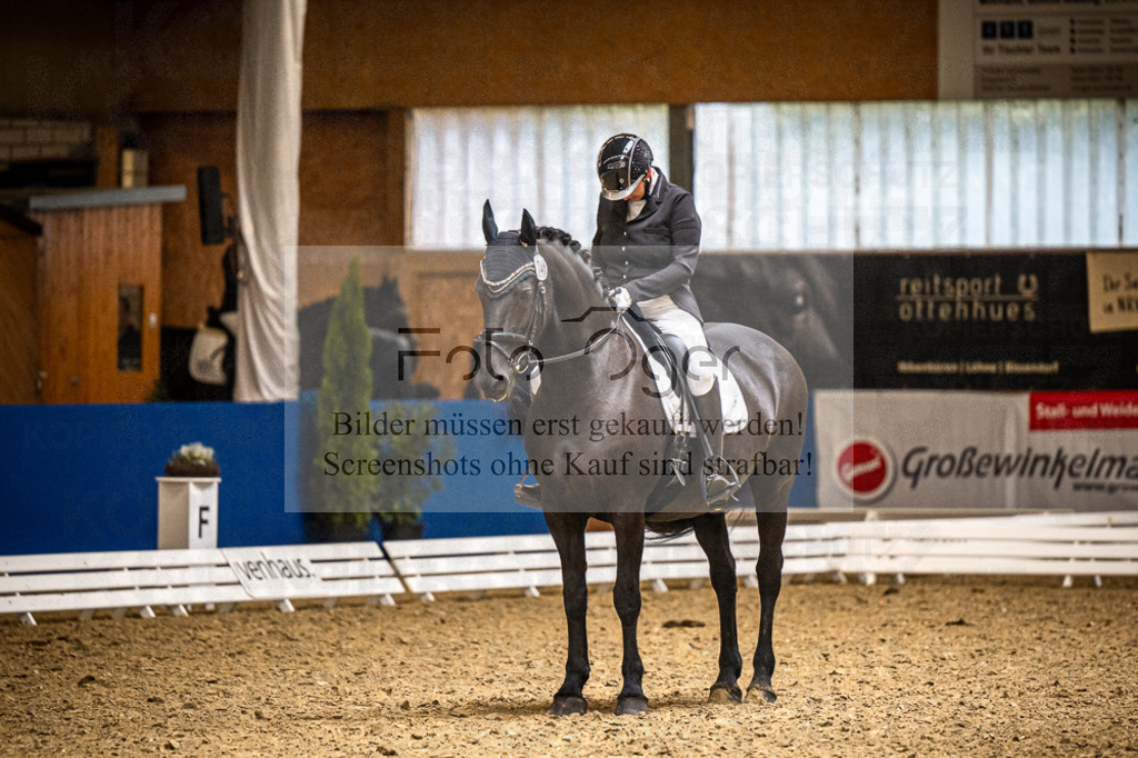 DOS_1993 | Entdecke hochwertige Reitturnierfotos von Foto Oger. Professionell, emotional und authentisch – jetzt Lieblingsmomente im Shop bestellen.Deutschlandweite Turnierfotografie. - Realisiert mit Pictrs.com