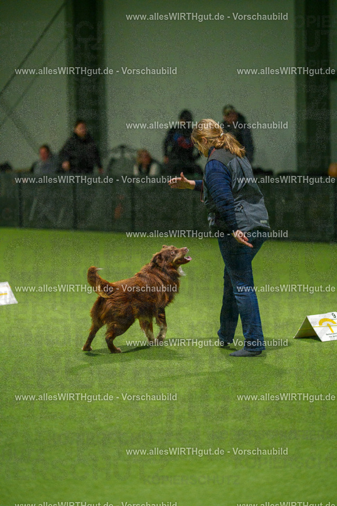 7R508903 | Professionelle Tierfotografie in Mönchengladbach von Daniel Wirth (allesWIRTHgut). Liebevolle & natürliche Bilder von Hunden & Katzen für unvergessliche Erinnerungen.