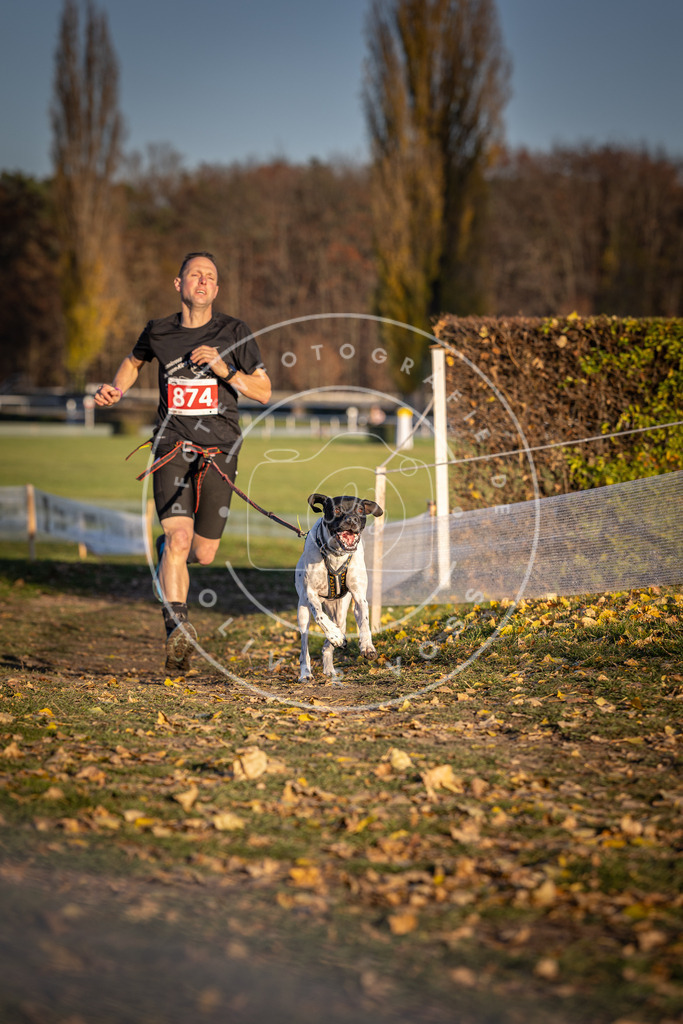 CaniXpix_DV3A4203 | Hundefotografie, Tierfotograf, Pfotenfotografie, Fotoshooting Hund, Hunde Portrait, Hundesport, Hundeportraits, Heideshooting, Hunde, Sportfotograf, Hundefotograf, Turnierhundsport, THS,  - Realisiert mit Pictrs.com