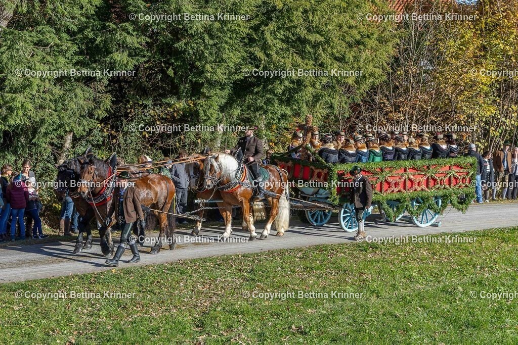LBT25-652 | foto-bettina-krinner - Realisiert mit Pictrs.com