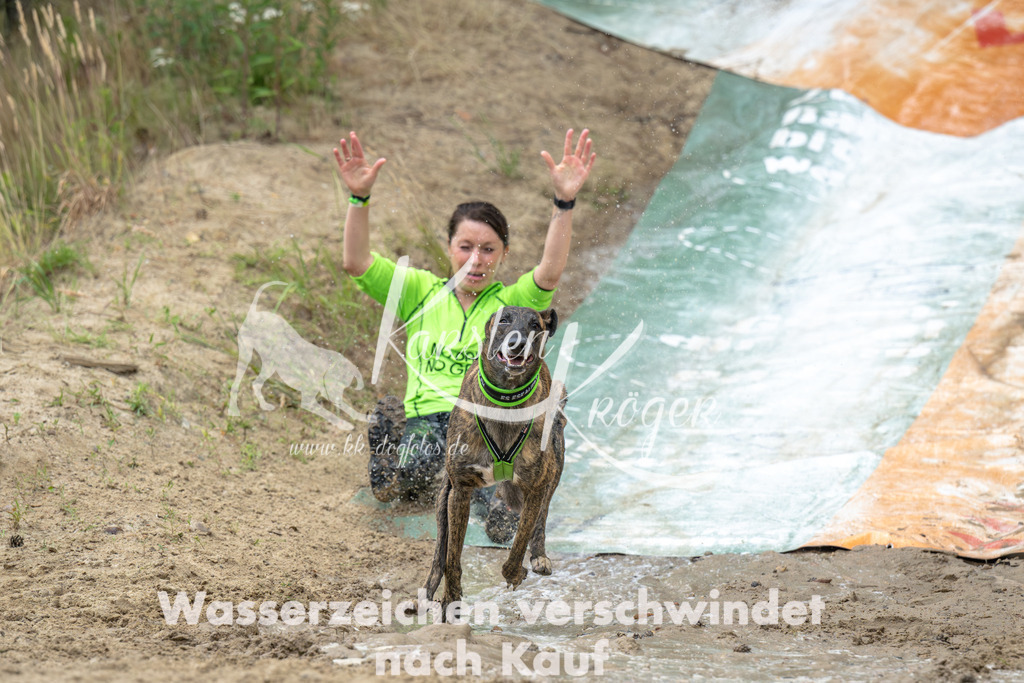 0954_ZZ91746-Verbessert-RR | kk-dogfotos