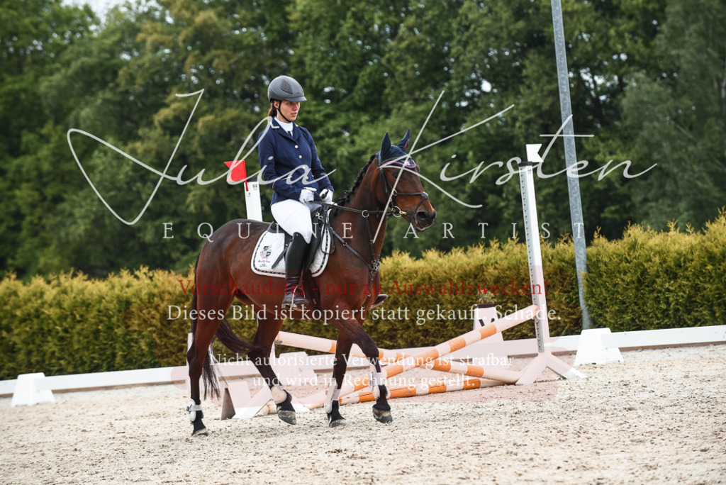 20230518_JK-Röhrsdorf-10-575 | Pferde- und Turnierfotografie in Westsachsen. Pferdeportraits, Auftragszeichnungen und intuitive Kunst.