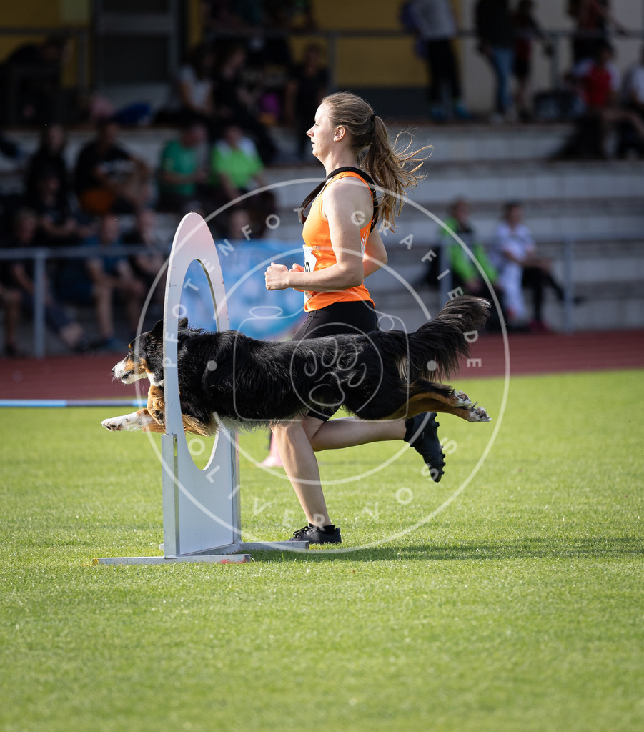Pfotenfotografie_DV3A2727 | Hundefotografie, Tierfotograf, Pfotenfotografie, Fotoshooting Hund, Hunde Portrait, Hundesport, Hundeportraits, Heideshooting, Hunde, Sportfotograf, Hundefotograf, Turnierhundsport, THS,  - Realisiert mit Pictrs.com