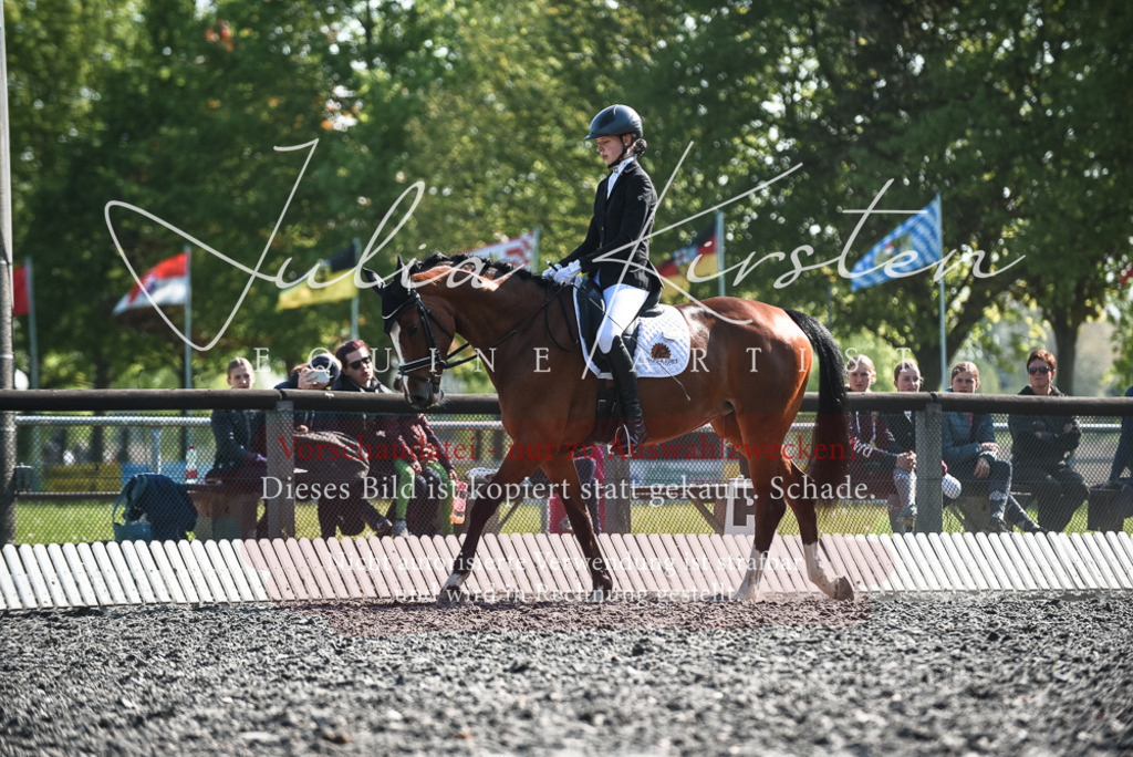 DSC_8658 | Pferde- und Turnierfotografie in Westsachsen. Pferdeportraits, Auftragszeichnungen und intuitive Kunst.