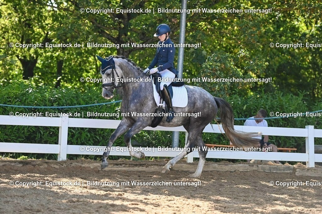 20230715_06_Dressurpferdeprfg. Kl.A_0314 | equistock