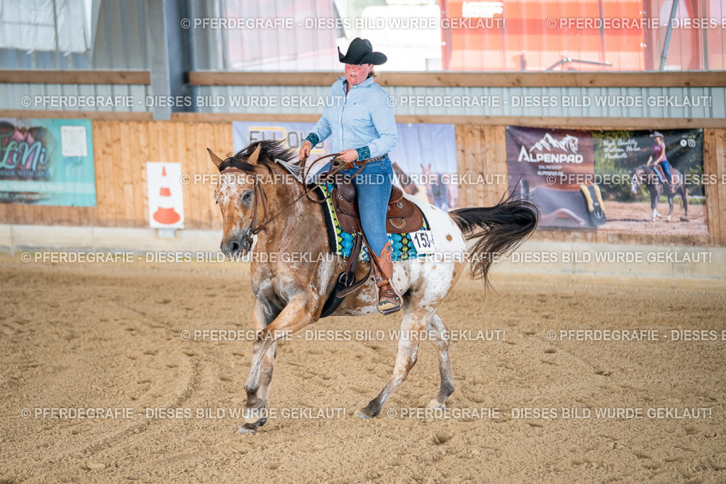 DSC02152 | Pferdegrafie