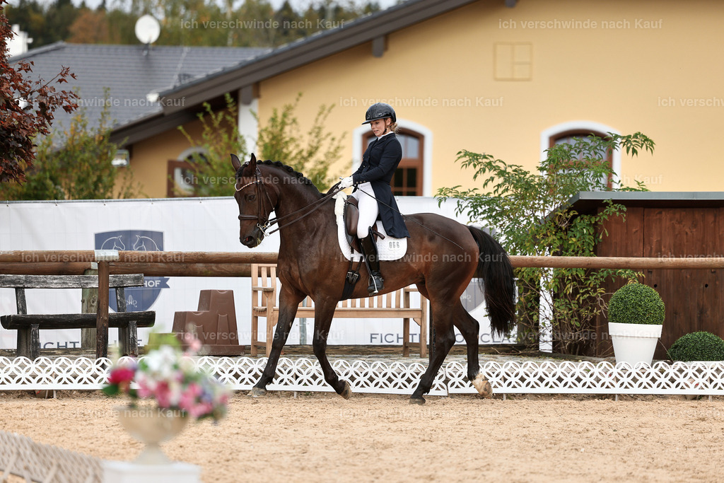 11-066-Dressur S___-StoibPH-1245 | working equitationturnier fotograf videograf stoibphotography marixx film working equitation deutschland reitsport turnierfotografie eventfotografie equestrian events