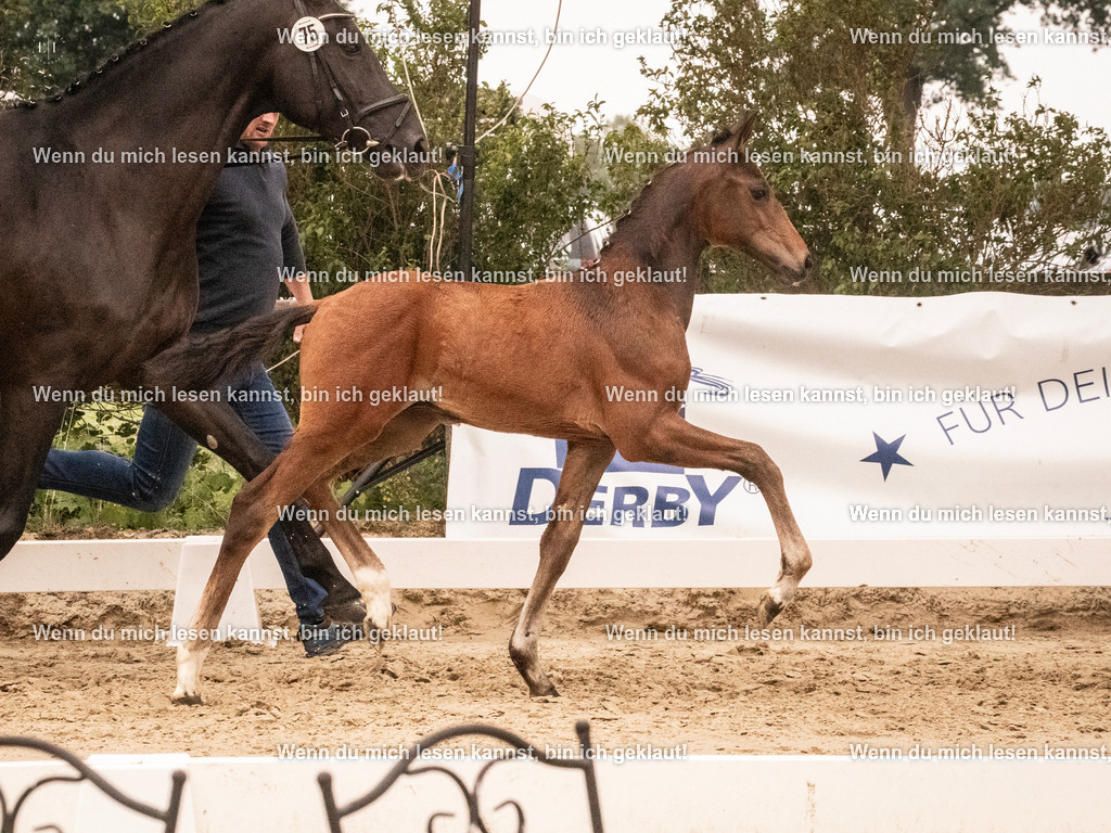 A10I1567 | photographylinaismer - Realisiert mit Pictrs.com