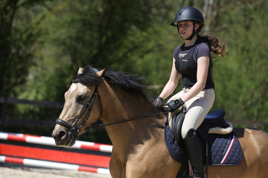 0P6A8857 | Willkommen bei Brunnmayr - Design & Fotografie – Ihrem Spezialisten für Reitturniere und Pferdeveranstaltungen in Oberösterreich, Salzburg und Bayern! Seit über 17 Jahren sind wir leidenschaftlich dabei.