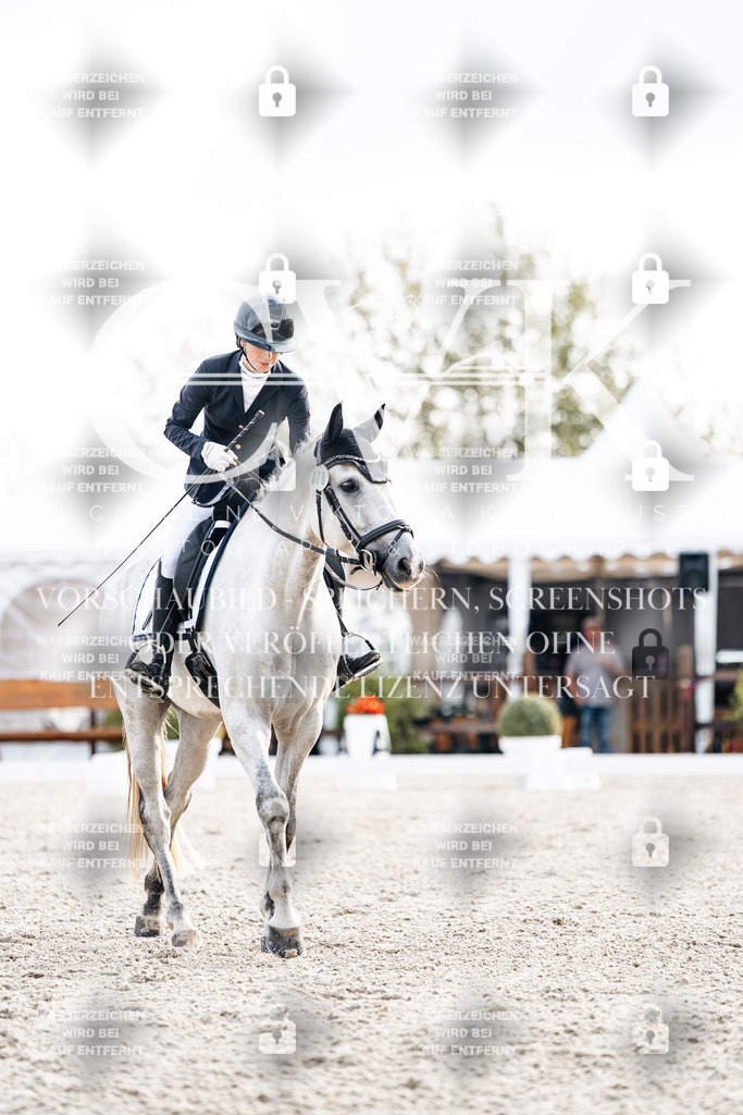 CK900610 | Turnierfotografie Pferdefotografie Trier Rheinland-Pfalz Pferdesport Reitsport Tierfotografie Sportfotografie Pferdevideo Pferdevideografie Equestrianvideography equestrianphotography  - Realisiert mit Pictrs.com