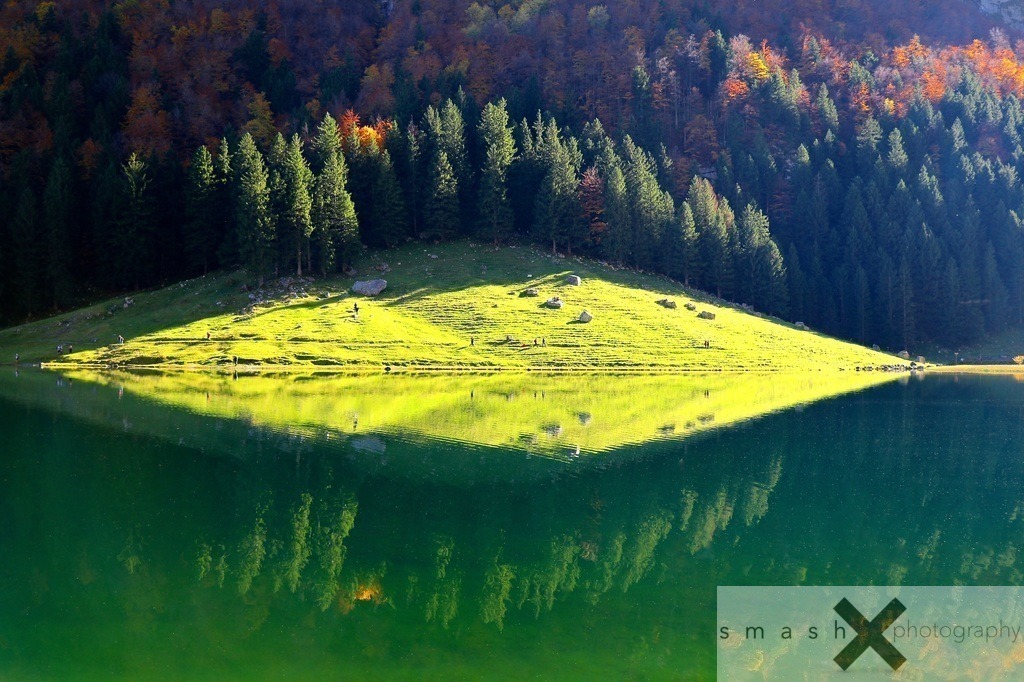 Big Fish? | Seealpsee (Switzerland/Schweiz)