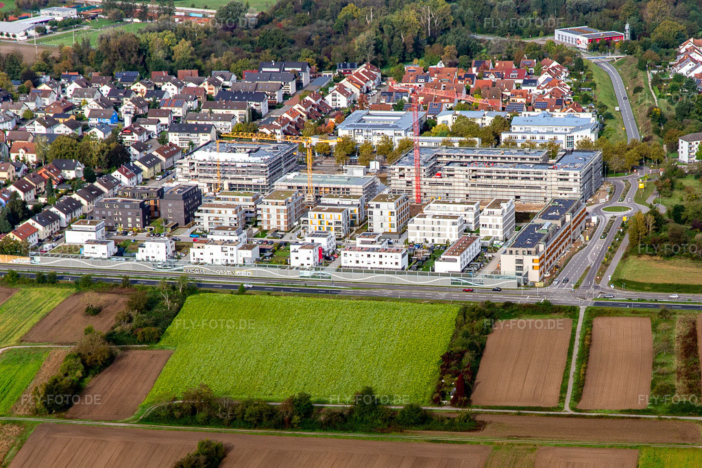 Luftbild: Neubauten-Baustelle an der Emil-Wachter-Straße im Ortsteil Mörsch in Rheinstetten im Bundesland Baden-Württemberg in Deutschland. Foto: IMG_143576.jpg vom 06.10.2024 durch Werner Riehm/FLY-FOTO.de