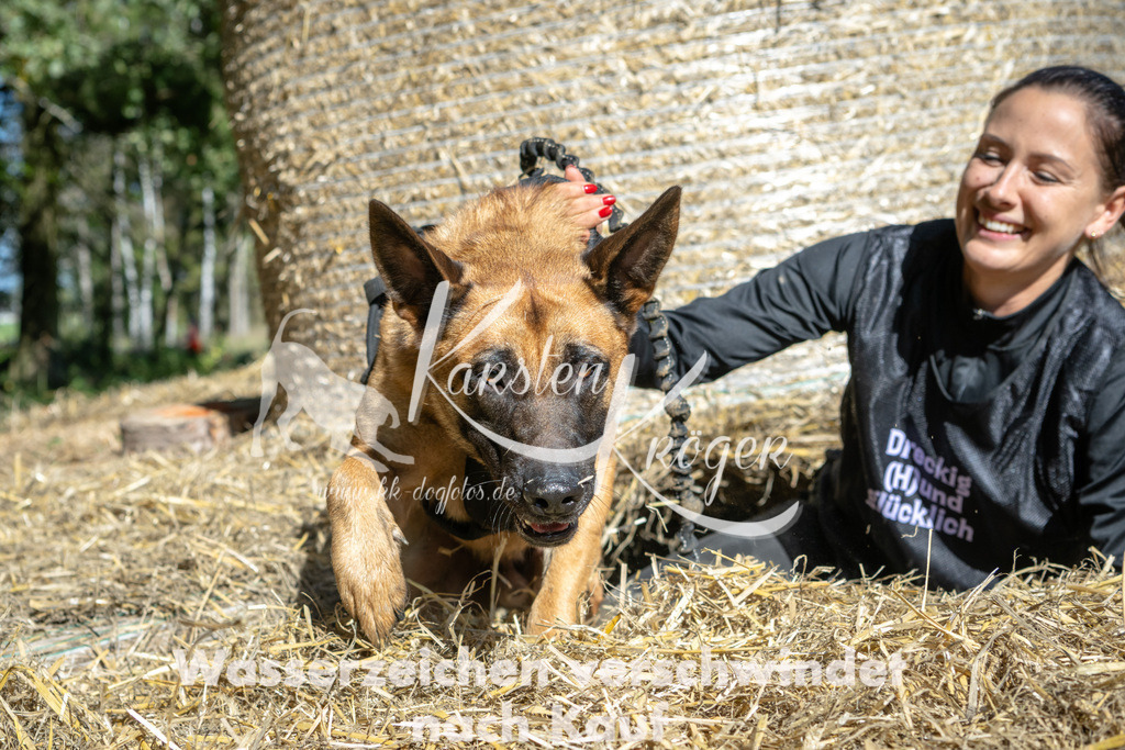 1244_ZZ92041-2 | kk-dogfotos