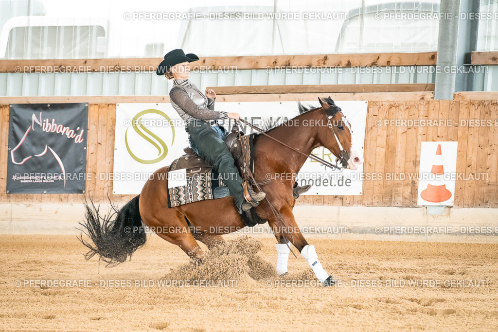 DSC02835 | Pferdegrafie