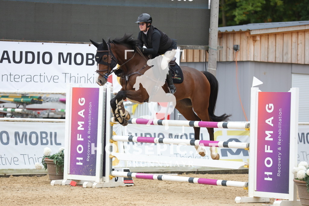 0P6A7106 | Willkommen bei Brunnmayr - Design & Fotografie – Ihrem Spezialisten für Reitturniere und Pferdeveranstaltungen in Oberösterreich, Salzburg und Bayern! Seit über 17 Jahren sind wir leidenschaftlich dabei.