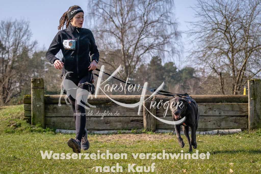 _ZZ94593 | kk-dogfotos