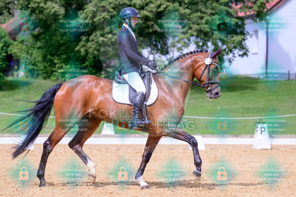 17072026-Schwaiganger-Prfg01-Dressur-0644 | Fokus Hufschlag Fotografie - Realisiert mit Pictrs.com