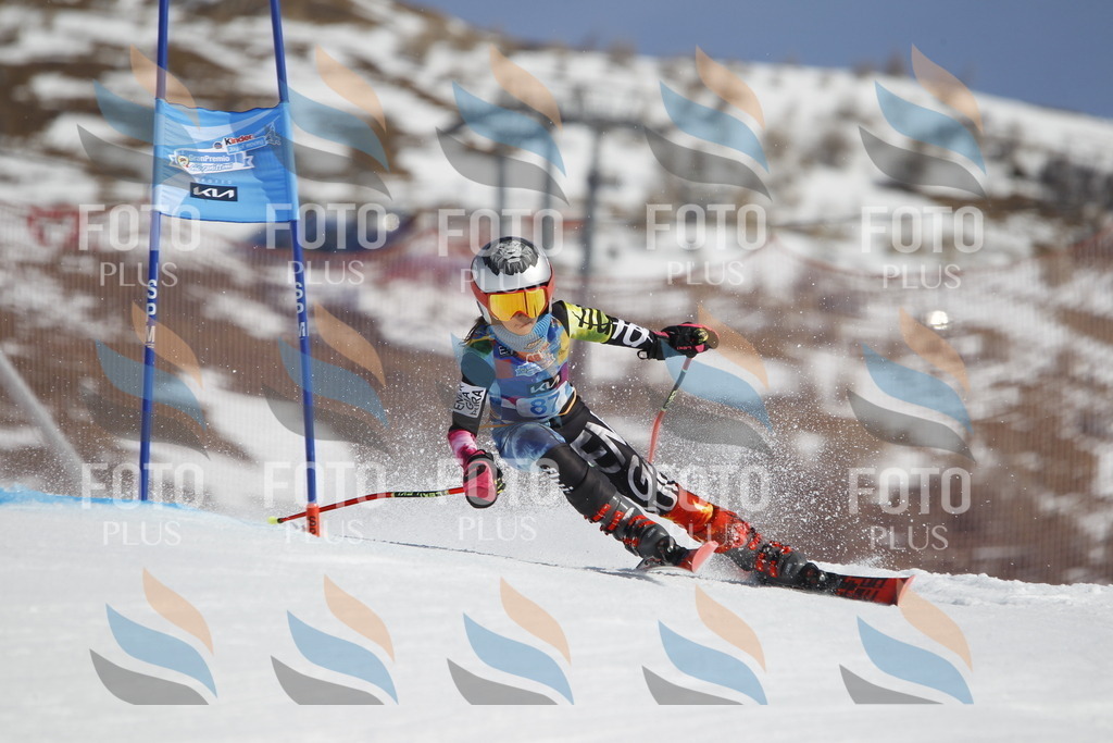 _U3G0098 | holidayphoto