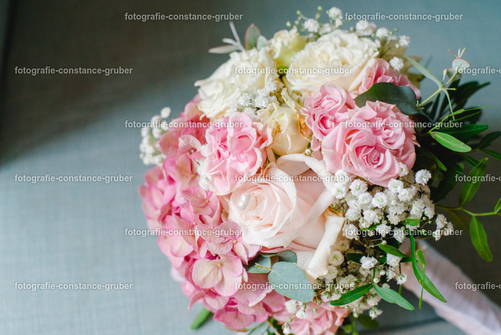 1013 | Fotografie Constance Gruber - Realisiert mit Pictrs.com