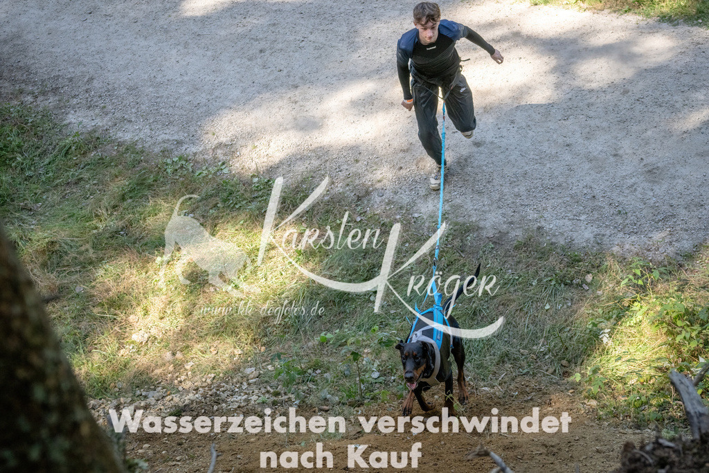 1223_ZZ94288 | kk-dogfotos