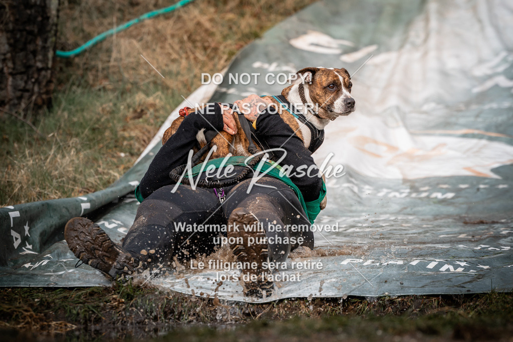 nelerasche_1030-1100_180 | nelerasche