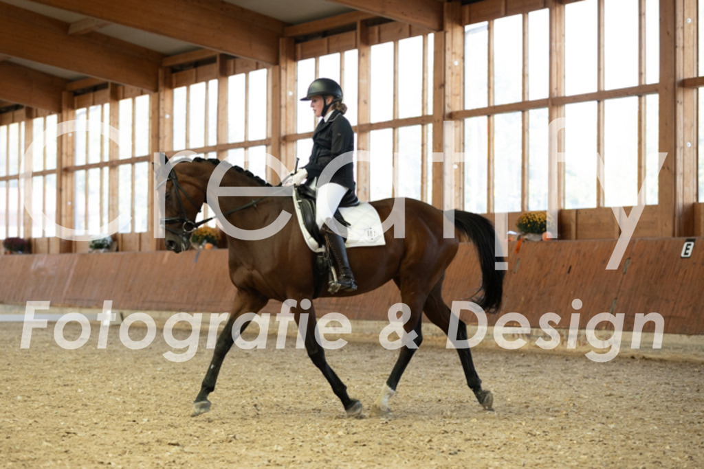 IMG_5014 | Creatify Fotografie