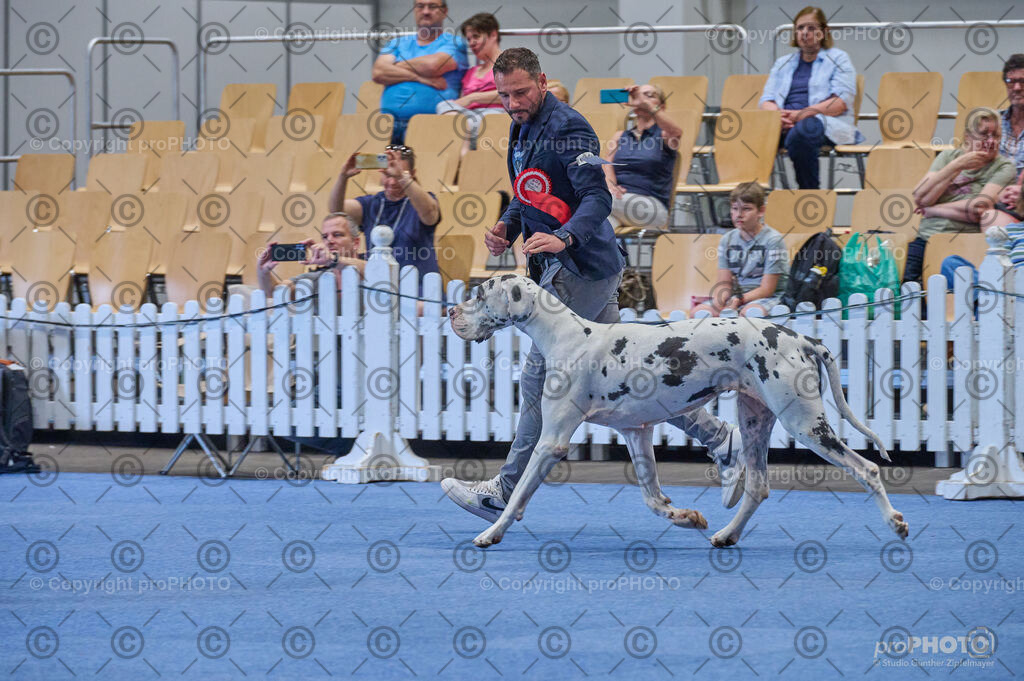 202406_ÖKV-IHA-Tulln24_DSC_4951 | proPHOTO - Realisiert mit Pictrs.com